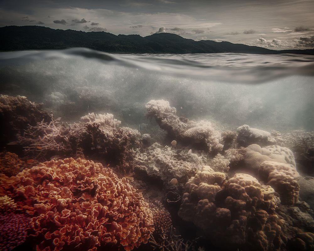Underwater Evening art print by Pavol Stranak for $57.95 CAD