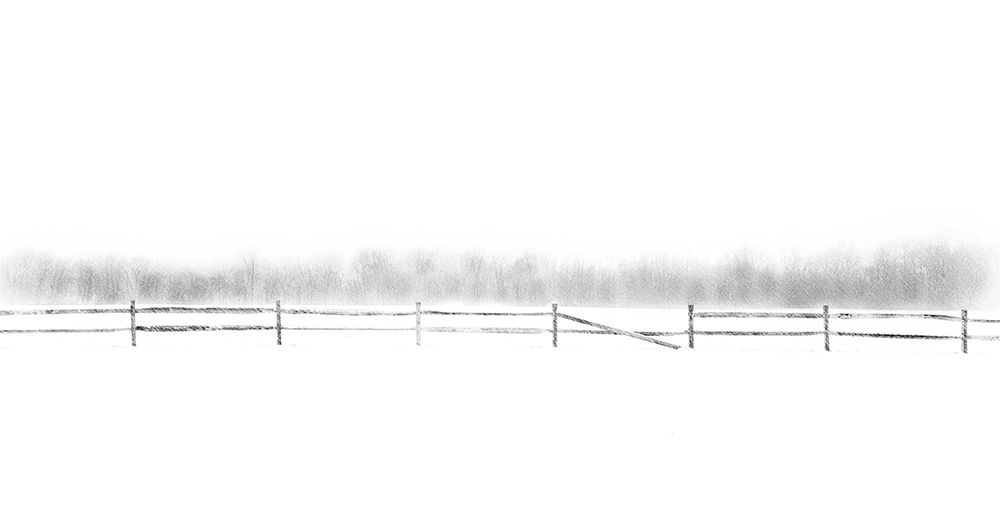 Broken Fence art print by Dan Hayes for $57.95 CAD