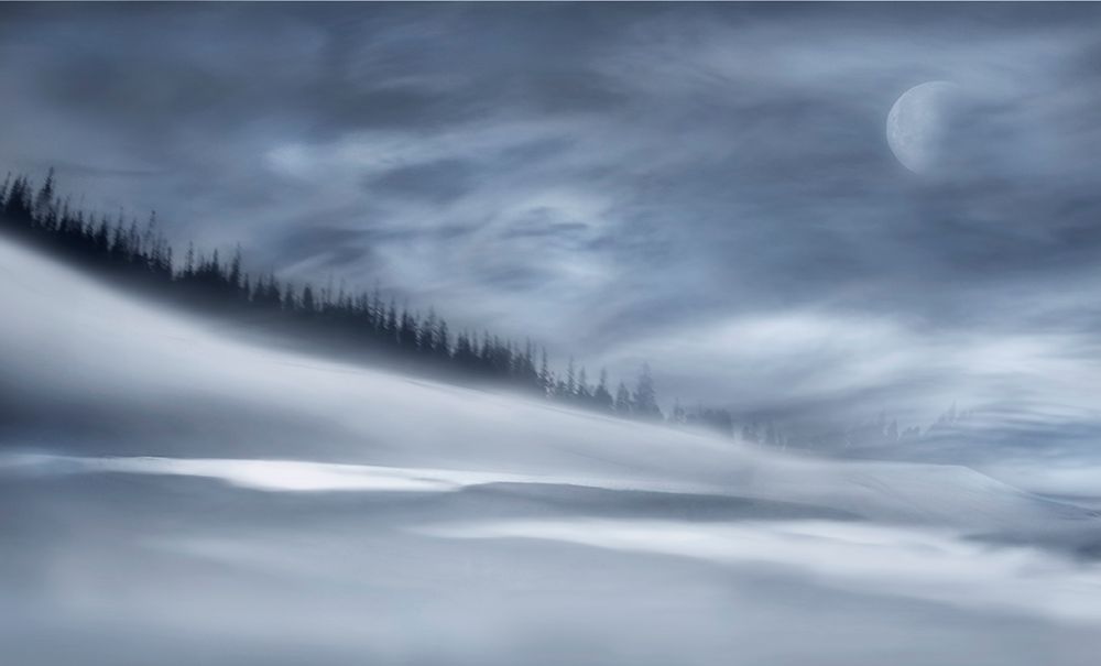 Winter Night art print by Heidi Westum for $57.95 CAD