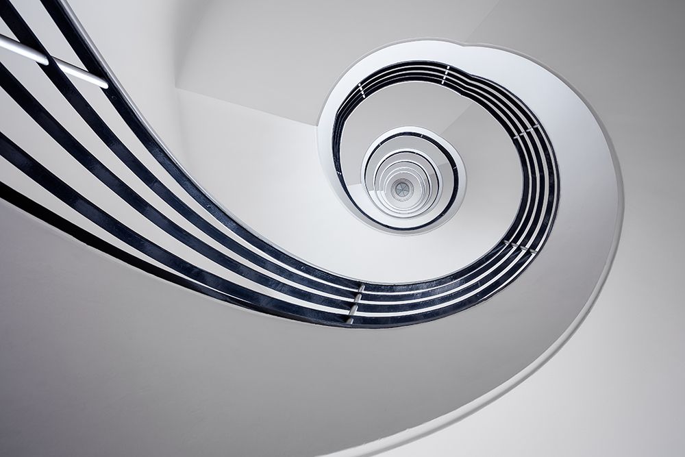 Fibonacci art print by Max Zimmermann for $57.95 CAD