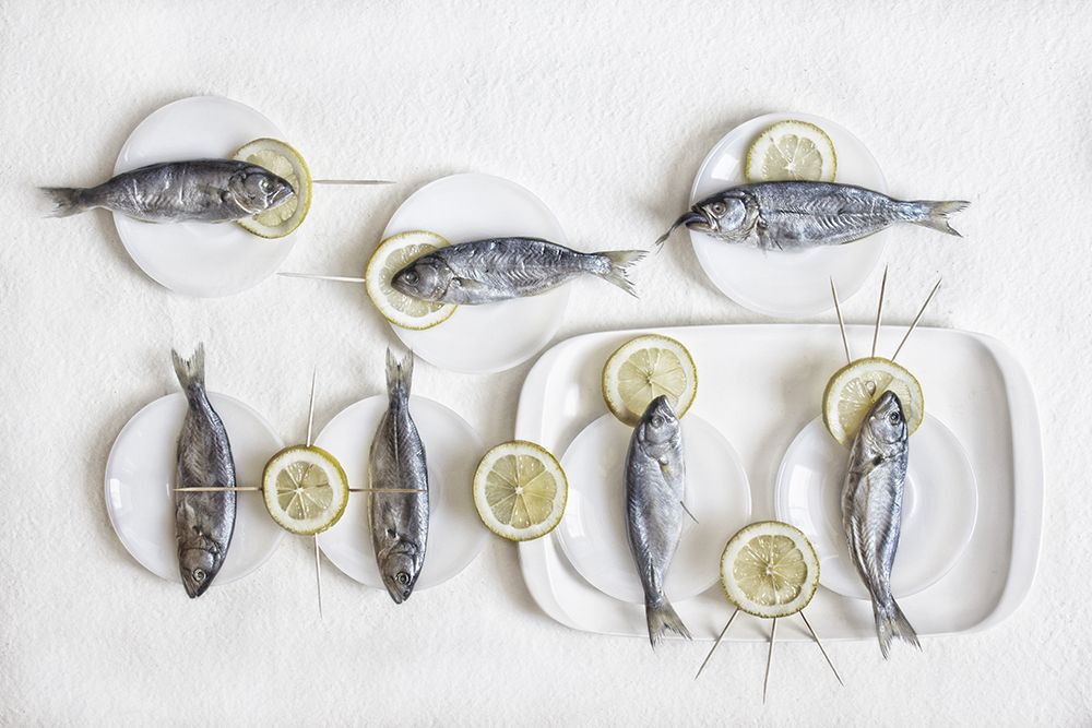 Still Life With Fish art print by Dimitar Lazarov for $57.95 CAD