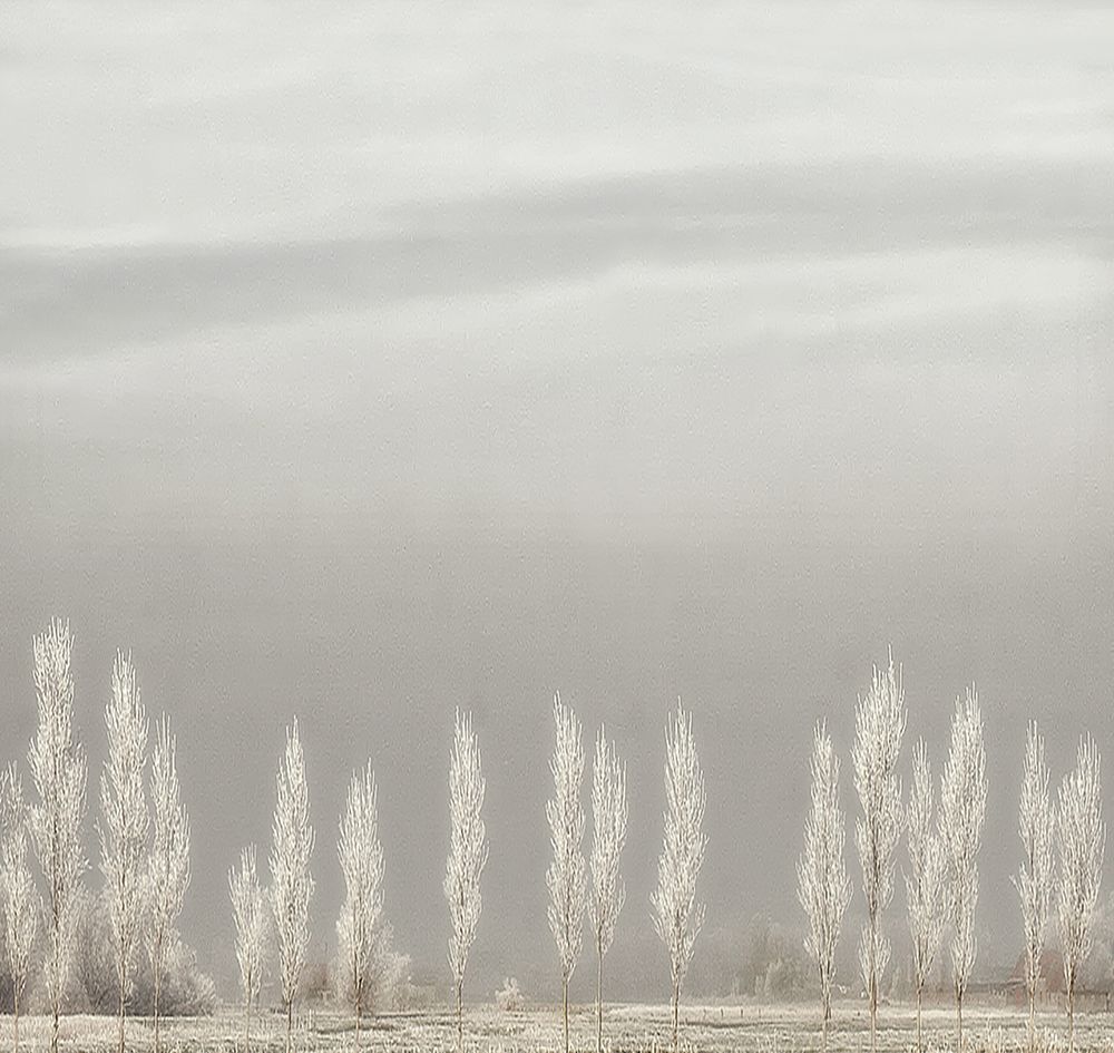 Silent World art print by Yvette Depaepe for $57.95 CAD