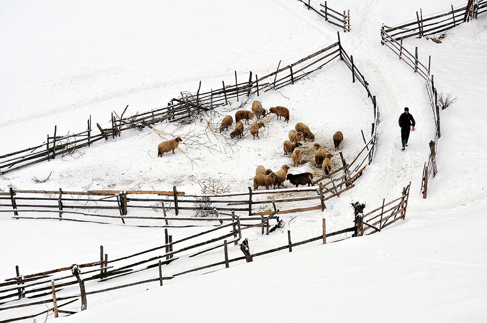 Protected Area art print by Ionut Harag for $57.95 CAD