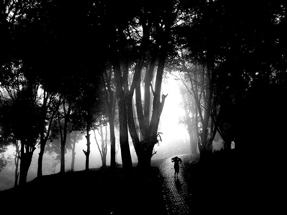 Misty Hillside art print by EH Kartanegara for $57.95 CAD
