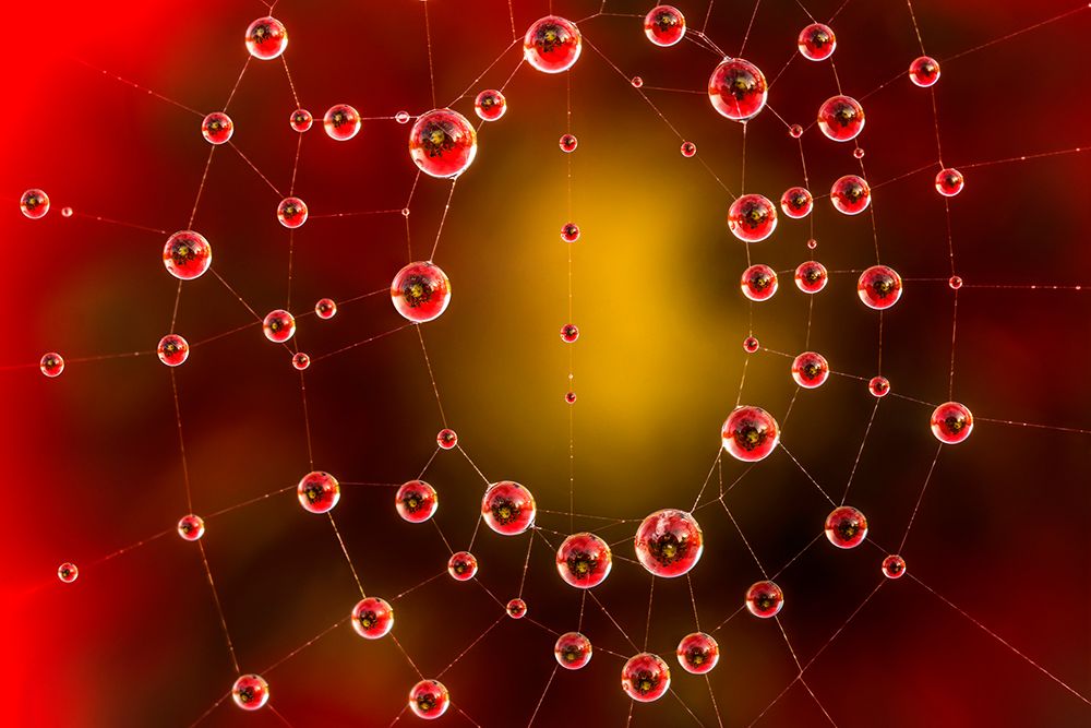 Colors Stars System art print by Alberto Ghizzi Panizza for $57.95 CAD