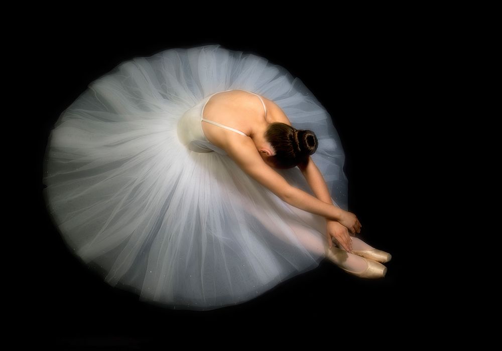 Elegance art print by Pauline Pentony MA for $57.95 CAD