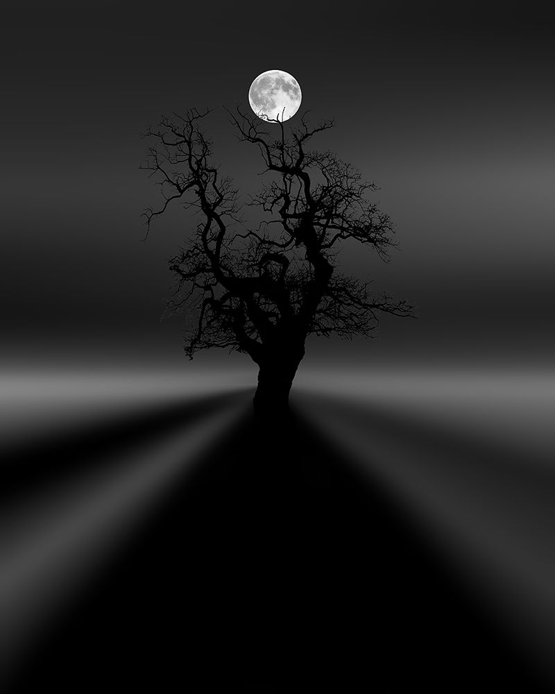 dhyA├é∩┐╜na art print by Dave Quince for $57.95 CAD