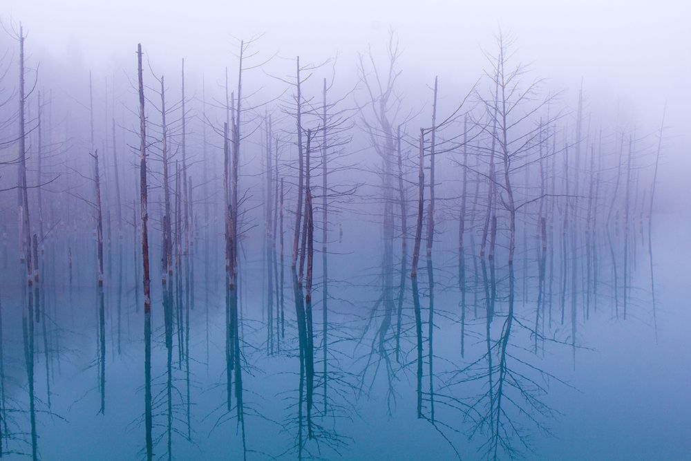 Misty Blue Pond art print by Osamu Asami for $57.95 CAD