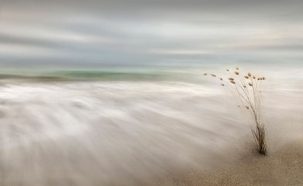 Ears In The Sea art print by Fran Osuna for $57.95 CAD