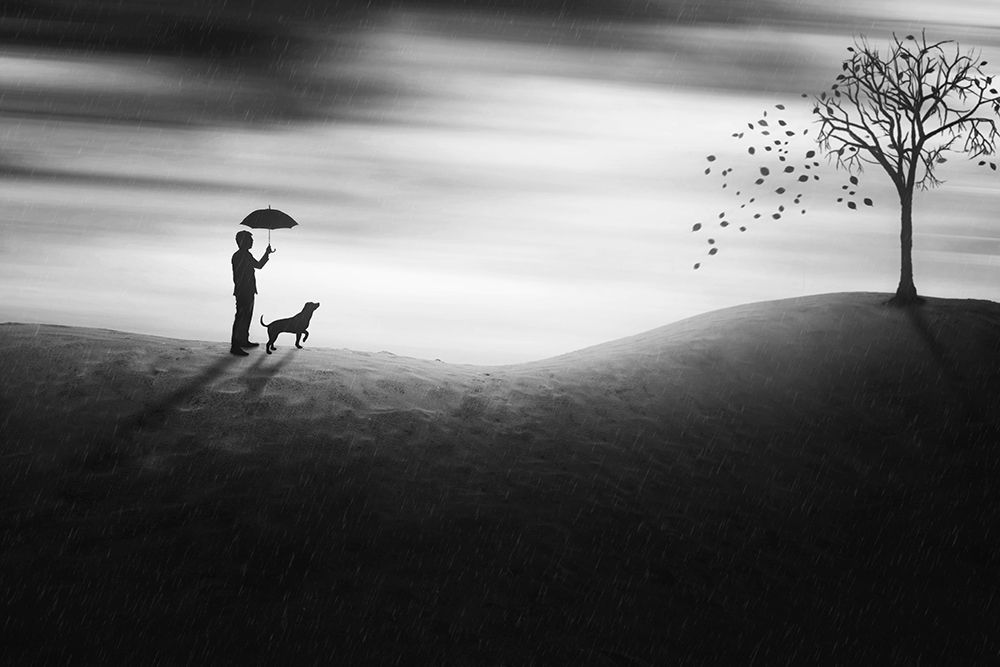 Autumn art print by Ivan Marlianto for $57.95 CAD