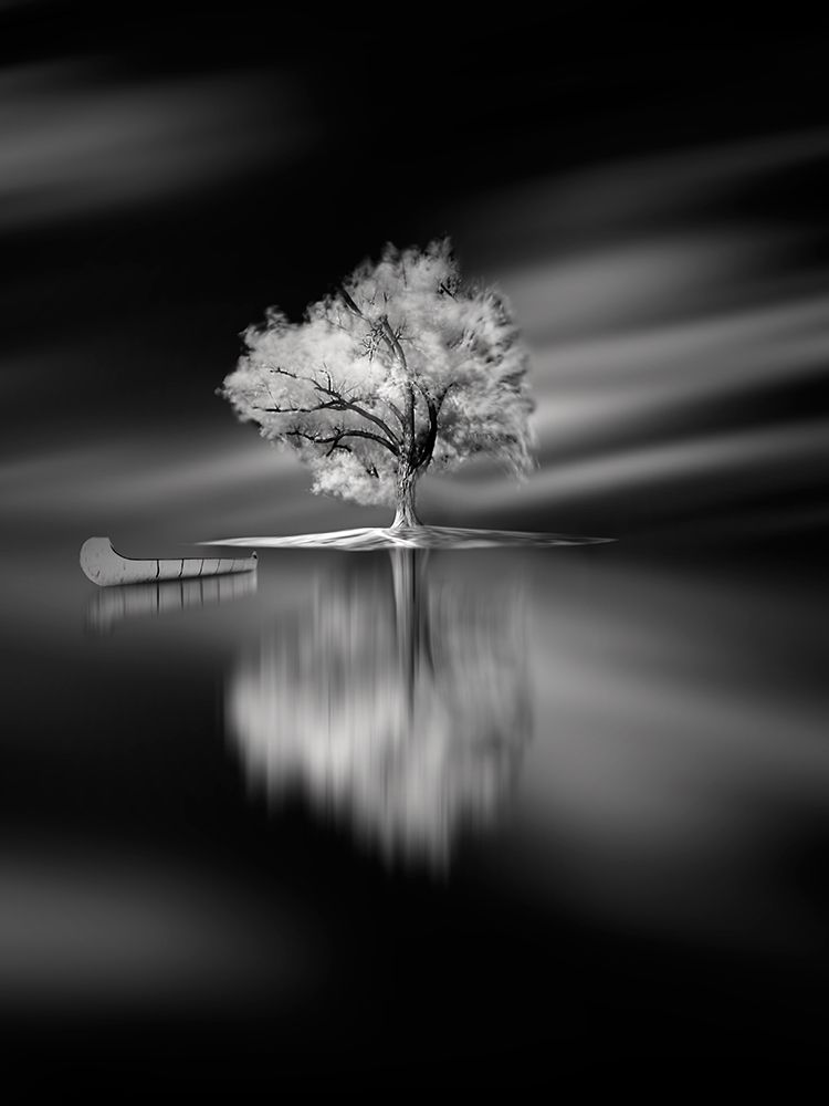 Quiet art print by David Senechal Photographie for $57.95 CAD
