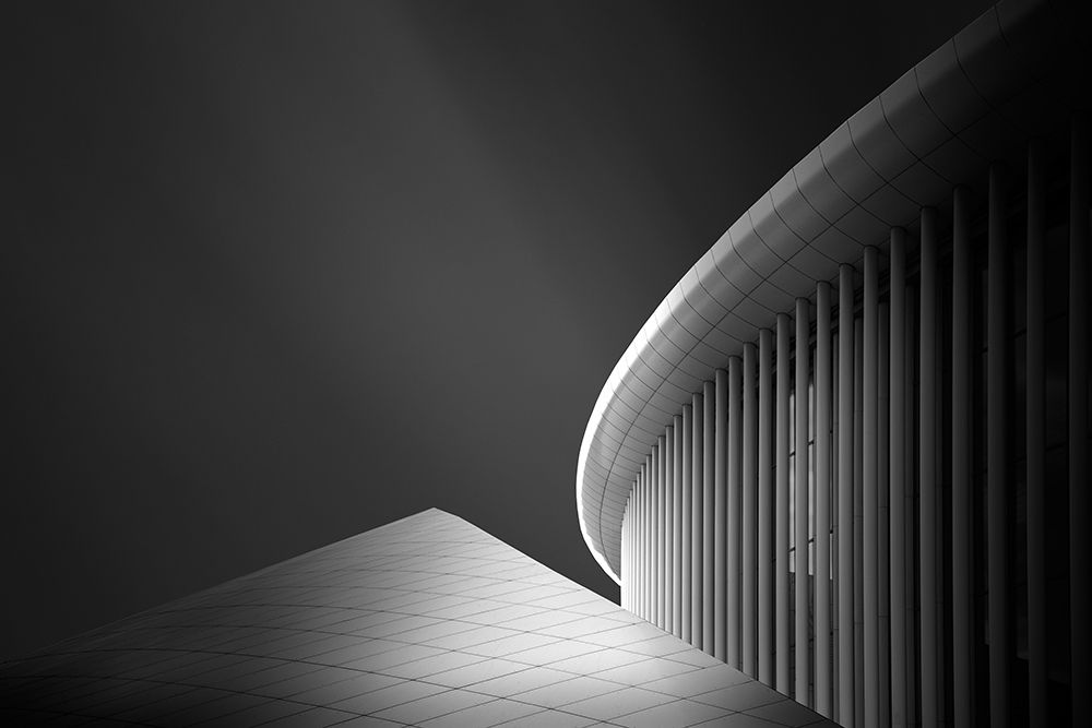 Symphony Of Lines art print by Dragos Ioneanu for $57.95 CAD