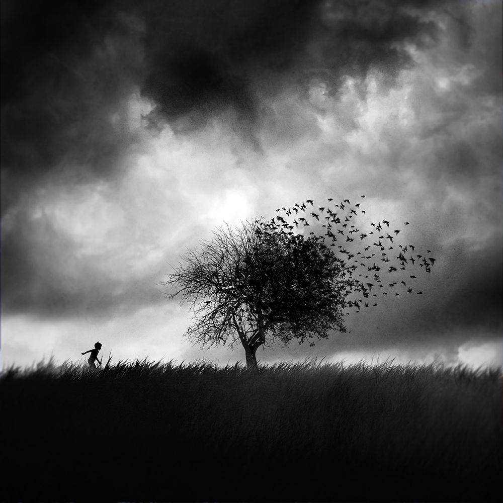 Printemps Perdu art print by Sebastien Del Grosso for $57.95 CAD