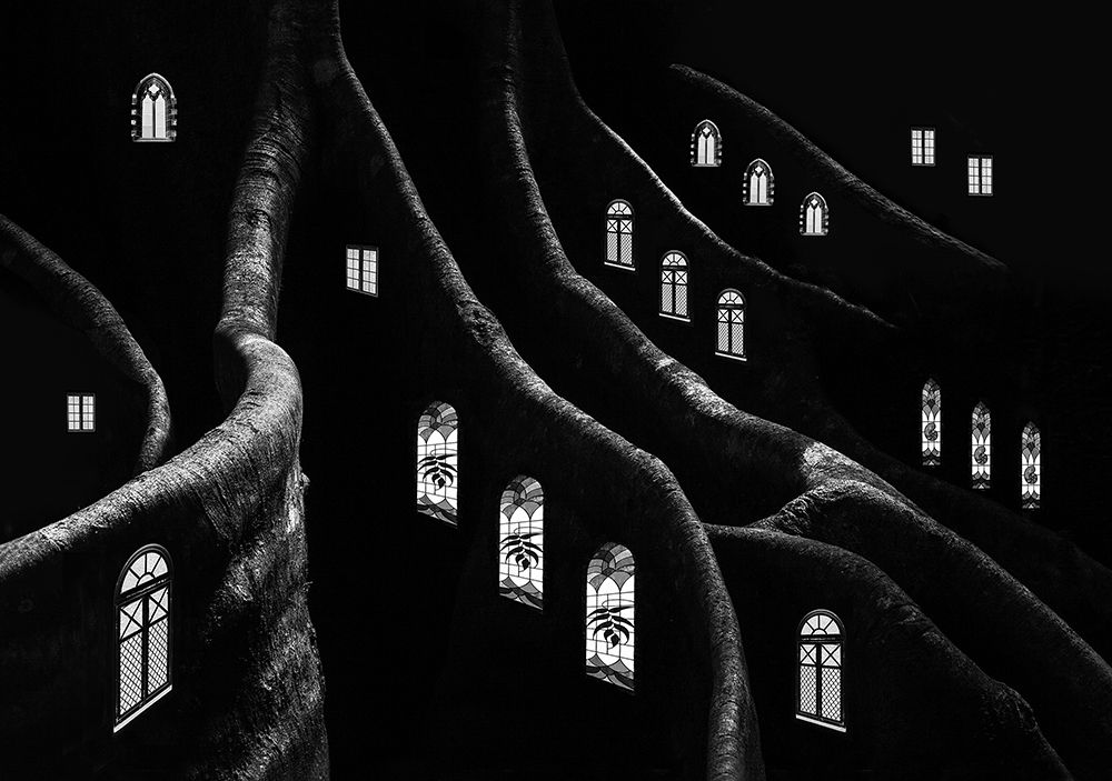 Windows of the Forest art print by Jacqueline Hammer for $57.95 CAD