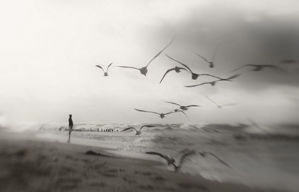 Quiet Dreams... art print by Anna Niemiec for $57.95 CAD
