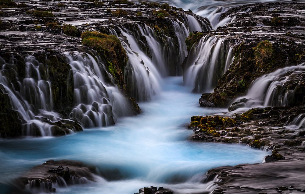 The Blue Beauty art print by Sus Bogaerts for $57.95 CAD
