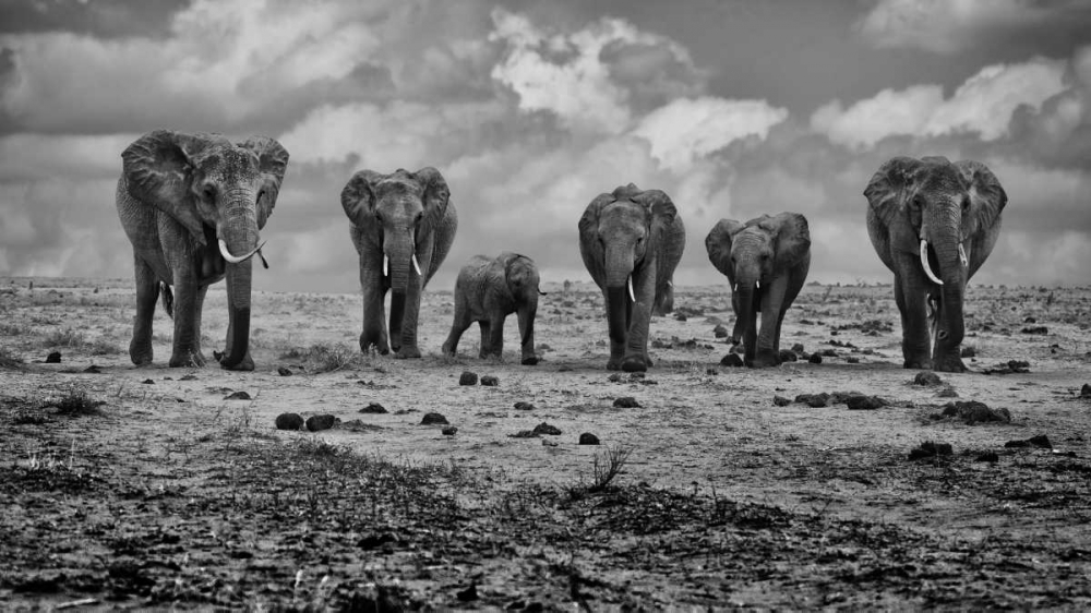 Big Family art print by Marcel Rebro for $57.95 CAD
