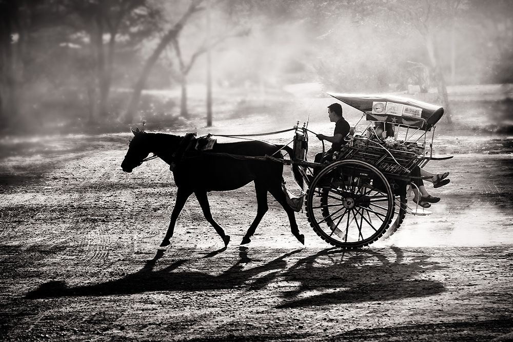 Dusty Horse Ride art print by Tom Baetsen for $57.95 CAD