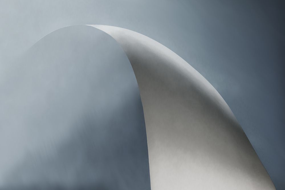 White Bow art print by Gilbert Claes for $57.95 CAD