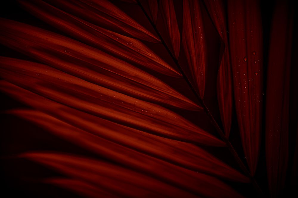 Sanguine Striations art print by El Robboz for $57.95 CAD