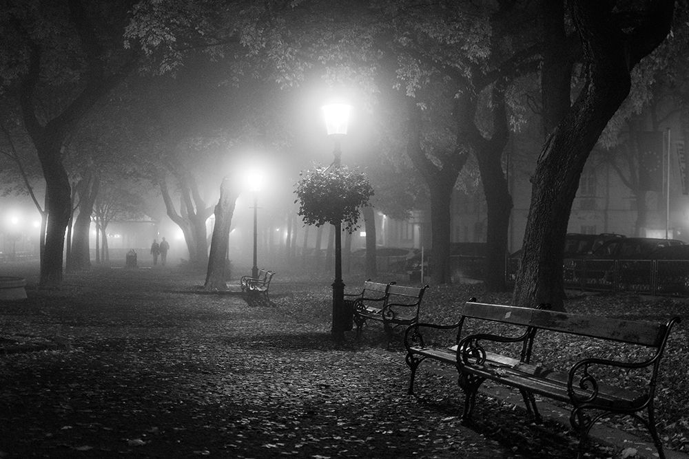 Foggy Day art print by Ilias Nikoloulis for $57.95 CAD
