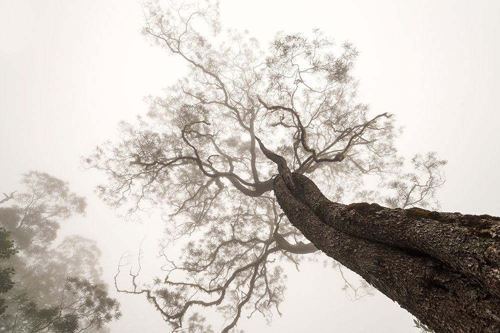 Between Heaven And Earth art print by Karsten Wrobel for $57.95 CAD