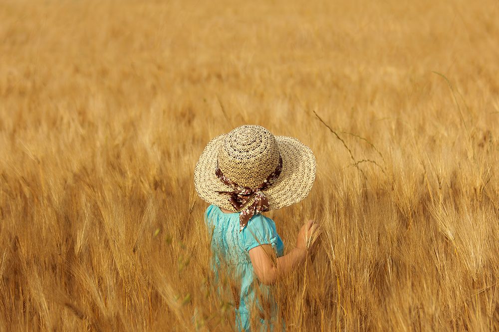 Summertime art print by Olga Fomina for $57.95 CAD