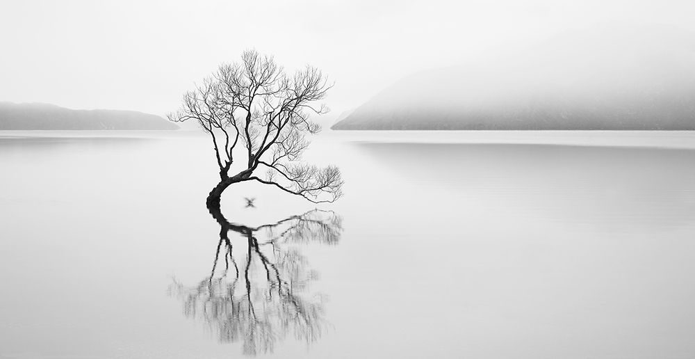 Serenity art print by Neville Jones for $57.95 CAD