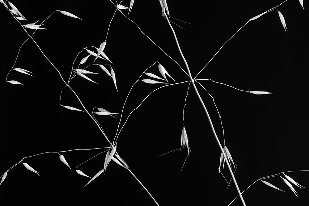 Crossed Lines art print by Olavo Azevedo for $57.95 CAD