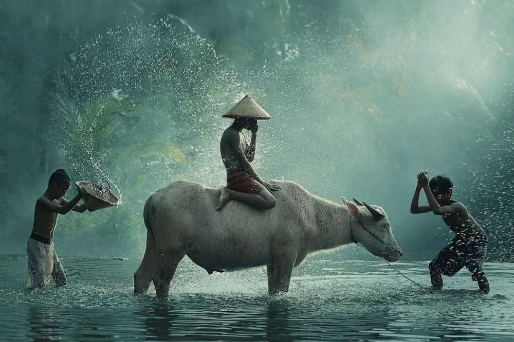 Water Buffalo art print by Vichaya for $57.95 CAD