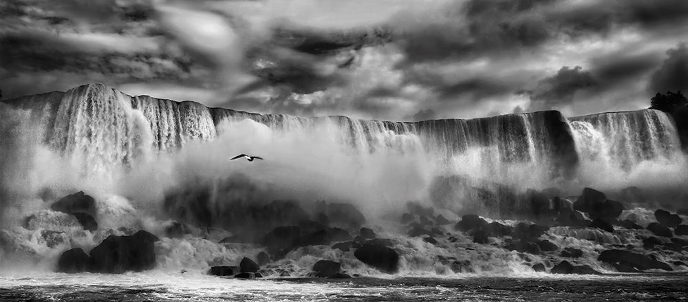 Beauty Unbound !! art print by Yvette Depaepe for $57.95 CAD