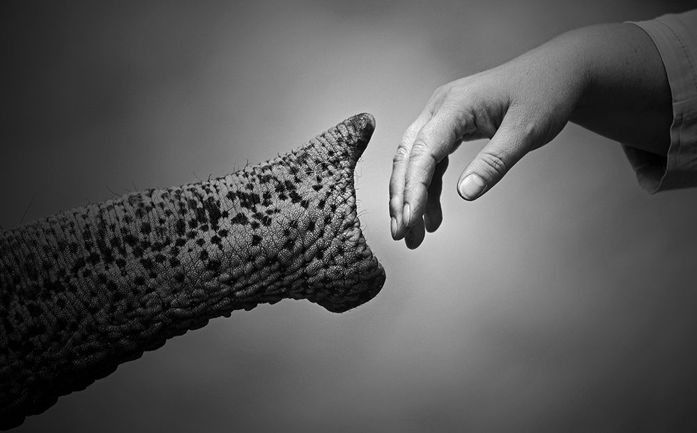 Walking Together .... art print by Antje Wenner-Braun for $57.95 CAD