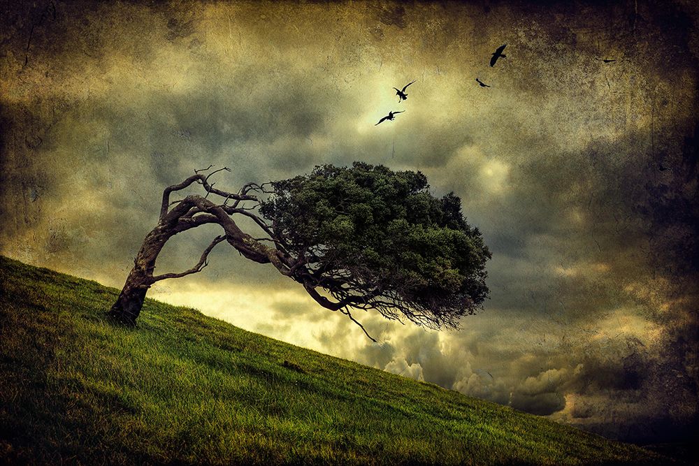 Winds Of Change art print by Peter Elgar for $57.95 CAD