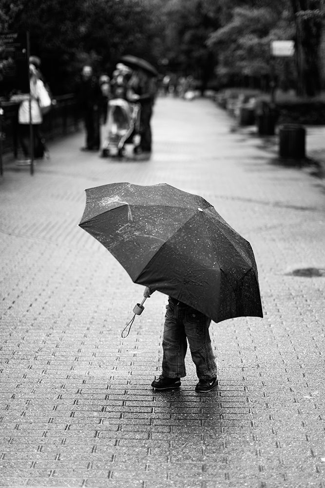 Rainy Day art print by Liesbeth van der for $57.95 CAD