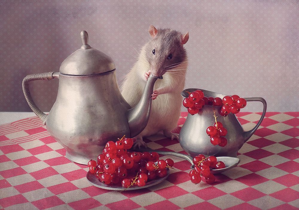 Snoozy  (again) art print by Ellen van Deelen for $57.95 CAD