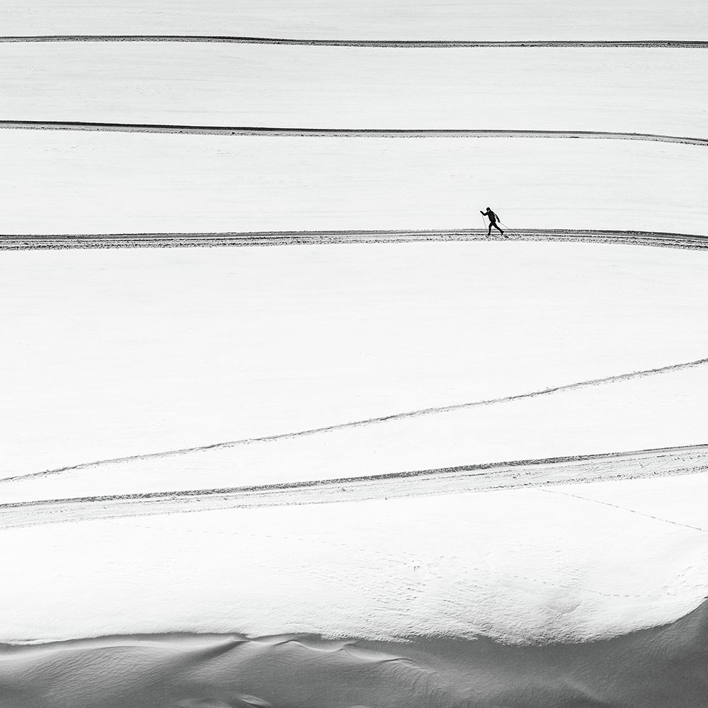 solitary . . art print by Matej Rumansky for $57.95 CAD