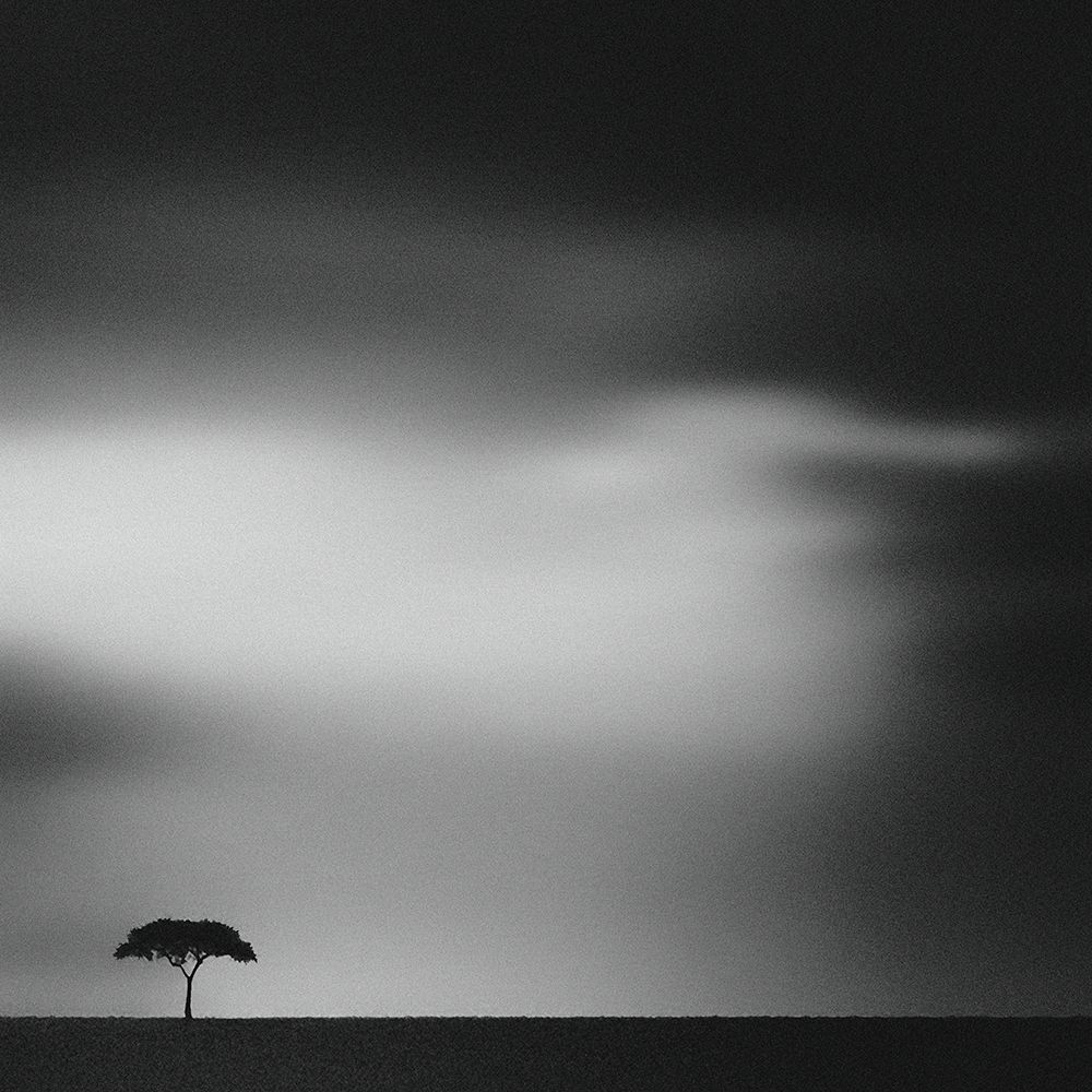 the plains art print by Piet Flour for $57.95 CAD
