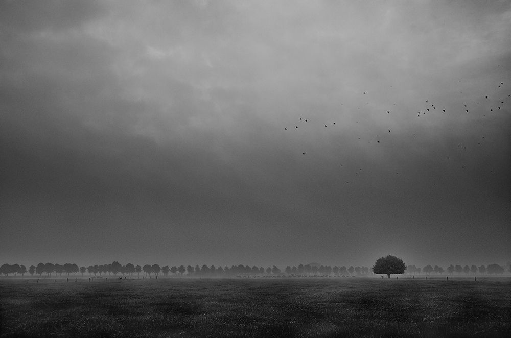 Solitaire art print by Michiel Hageman for $57.95 CAD