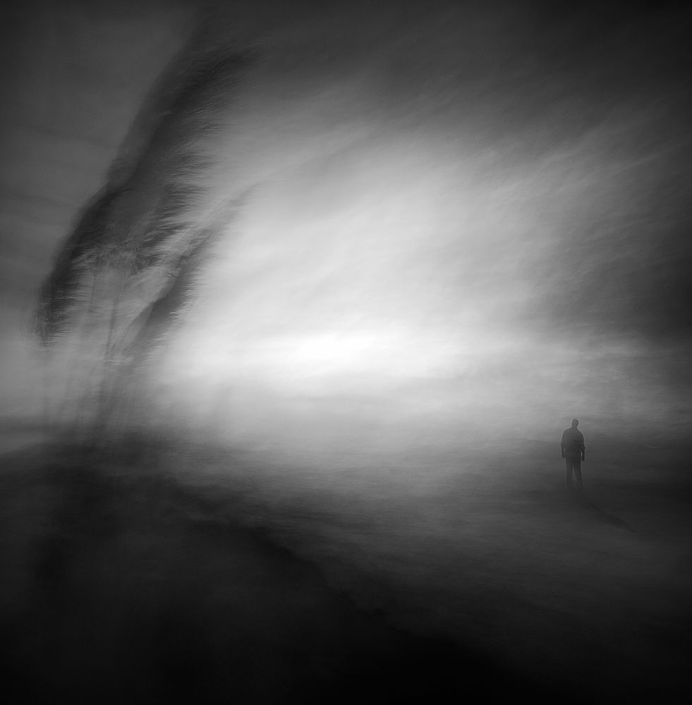 In The Middle Of Nowhere art print by Santiago Pascual Buye for $57.95 CAD