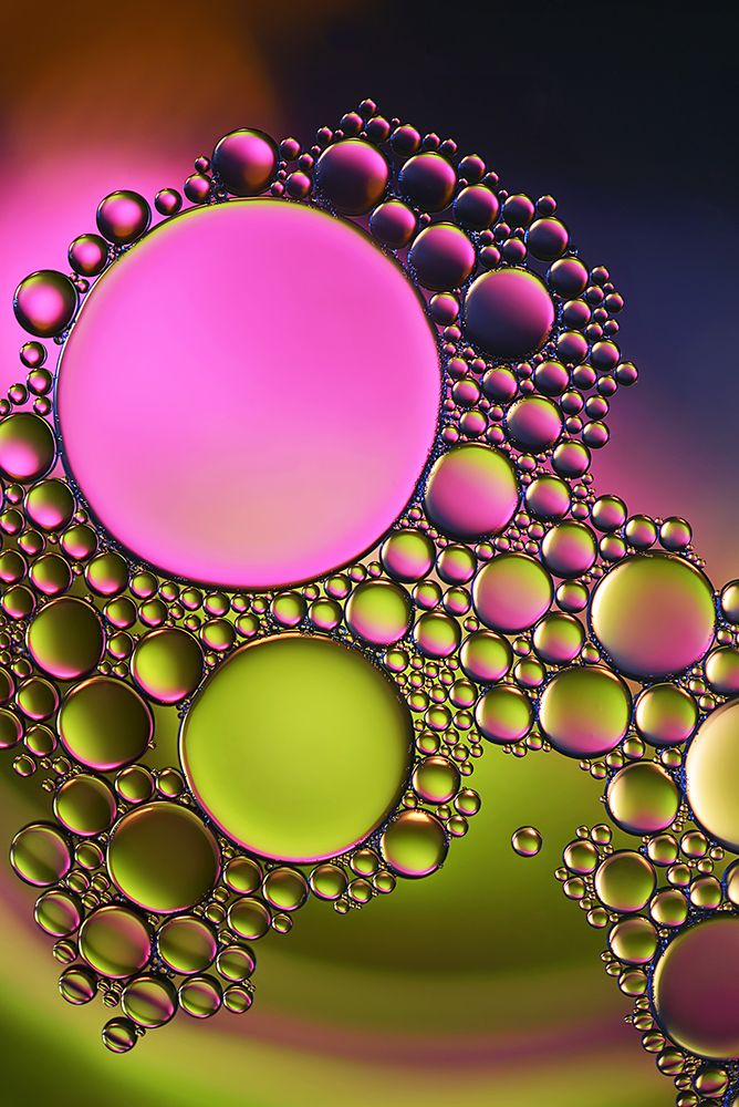 Pink Influence art print by Heidi Westum for $57.95 CAD