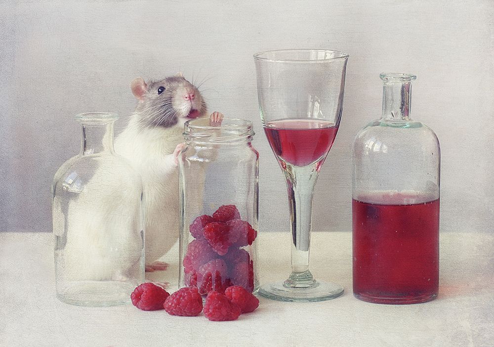 Raspberries art print by Ellen van Deelen for $57.95 CAD