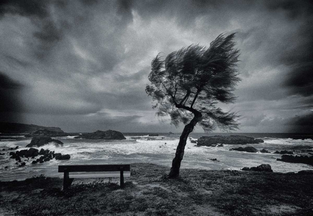 Today No One art print by Mikel Lastra for $57.95 CAD