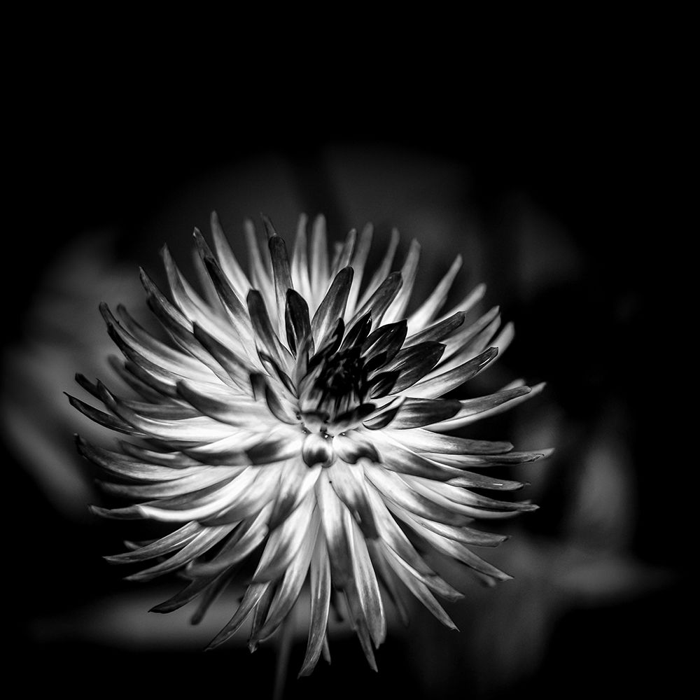 Sensual Performance art print by Richard Bland for $57.95 CAD