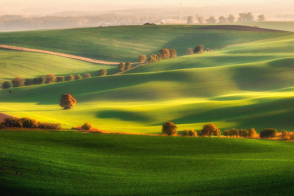 Green Fields art print by Piotr Krol for $57.95 CAD