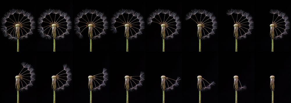 Countdown art print by Art Lionse for $57.95 CAD