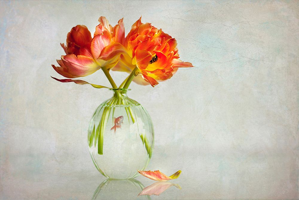 Untitled art print by Alida Van Zaane for $57.95 CAD
