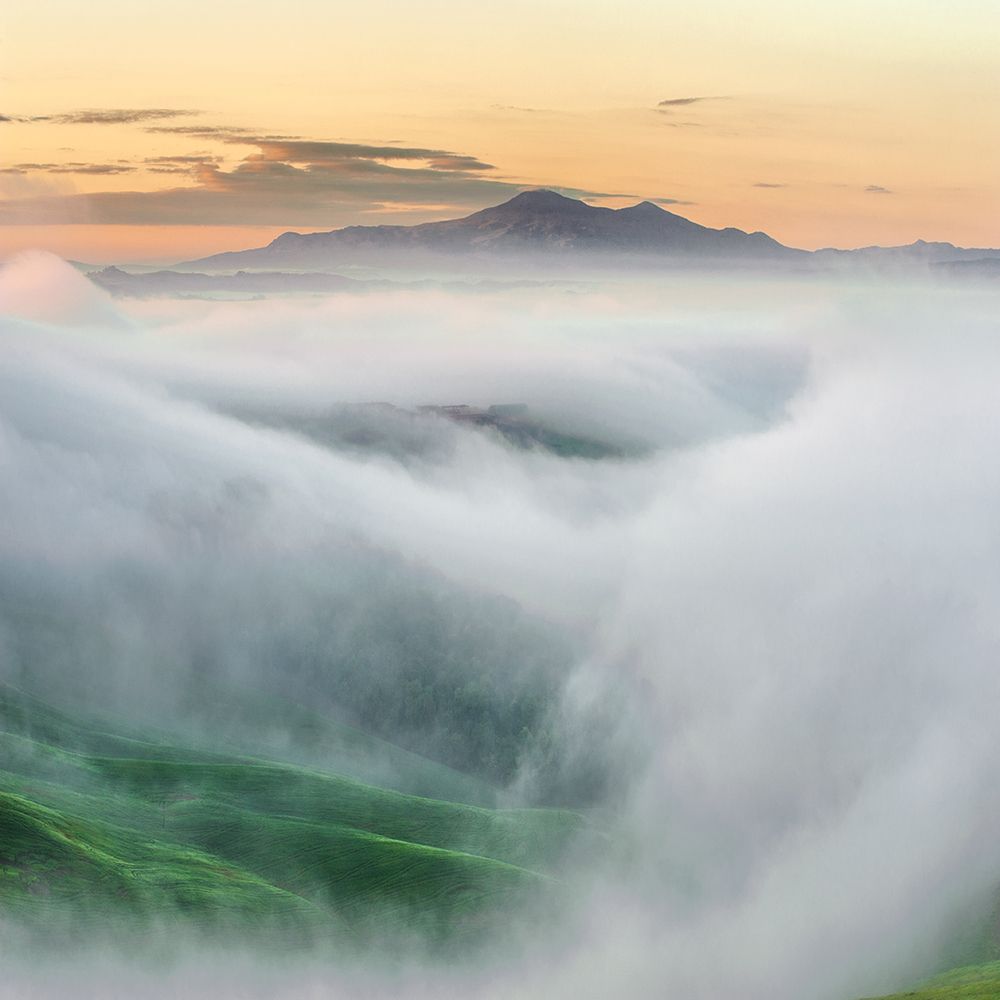 Foggy Morning art print by Jarek Pawlak for $57.95 CAD
