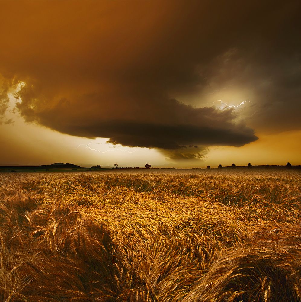 Spaetsommer Stimmung art print by Nicolas Schumacher for $57.95 CAD