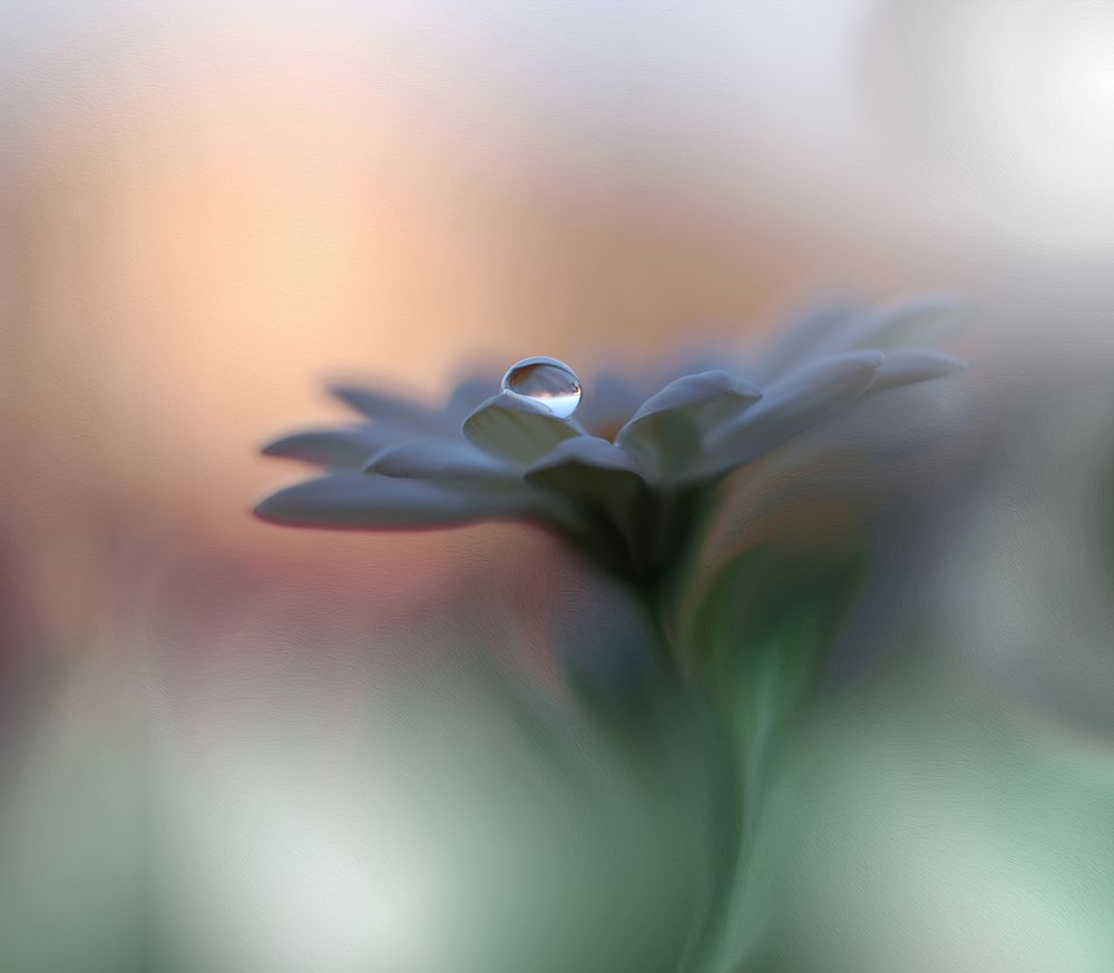 Eyes Of The Light art print by Juliana Nan for $57.95 CAD