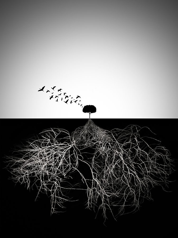 Do Not Judge According To Appearance art print by Souren Arslanian for $57.95 CAD